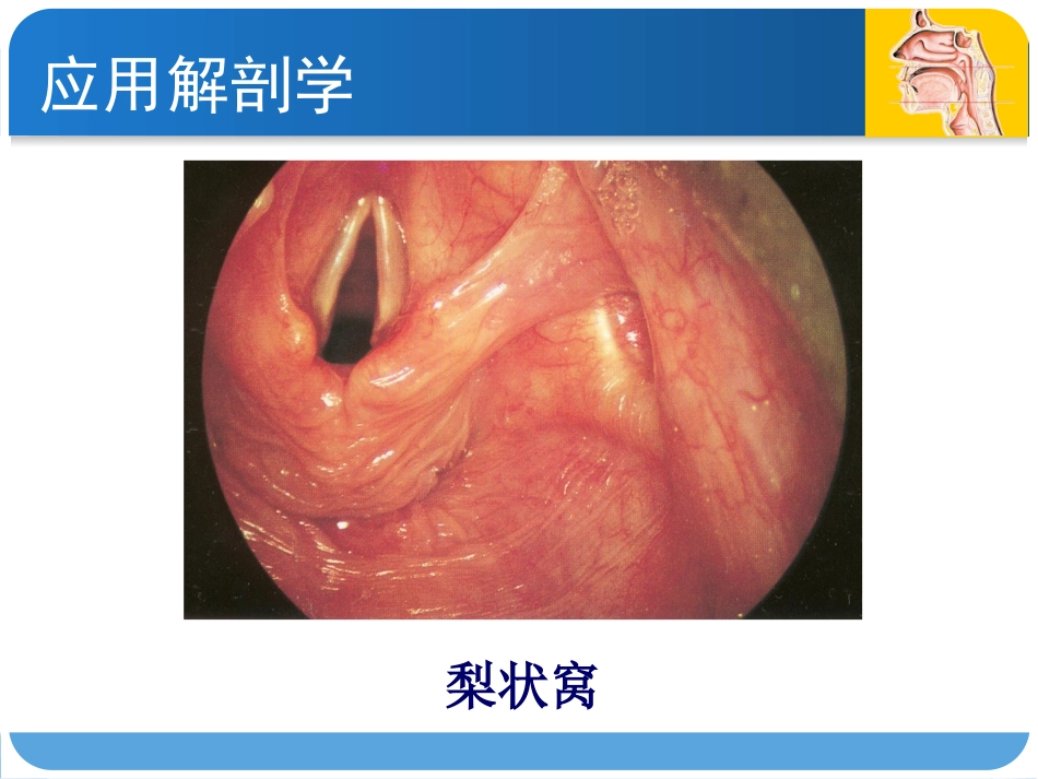 耳鼻咽喉头颈外科咽科学_第12页
