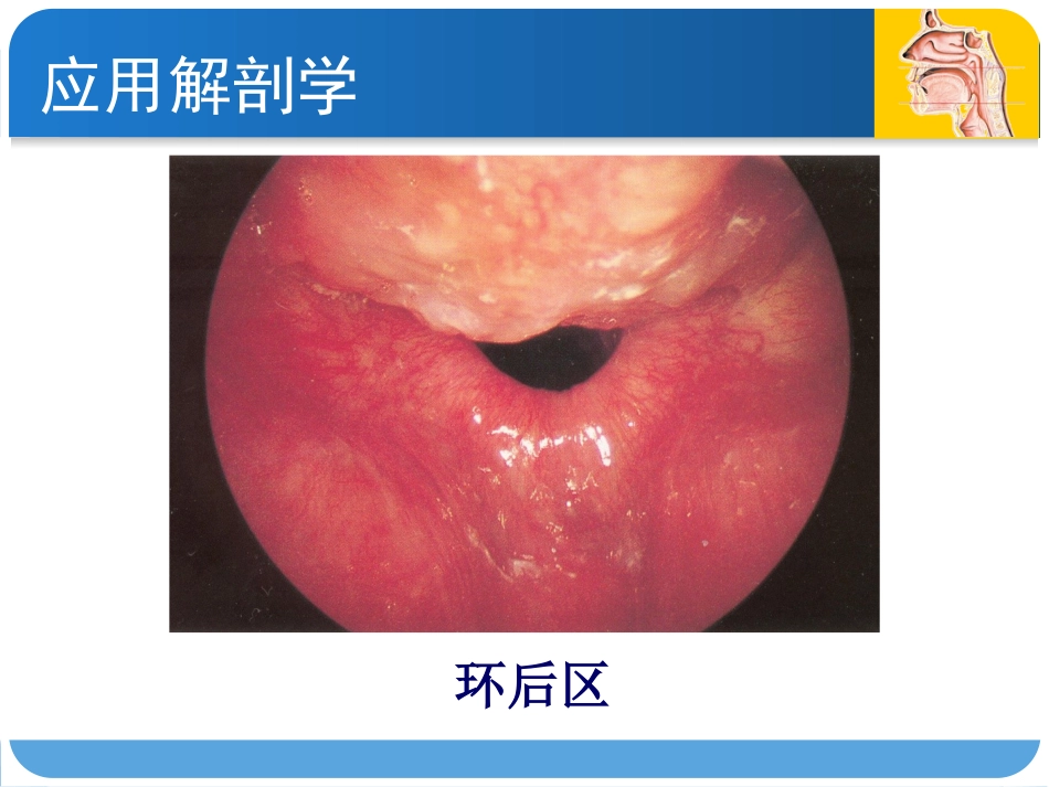 耳鼻咽喉头颈外科咽科学_第13页