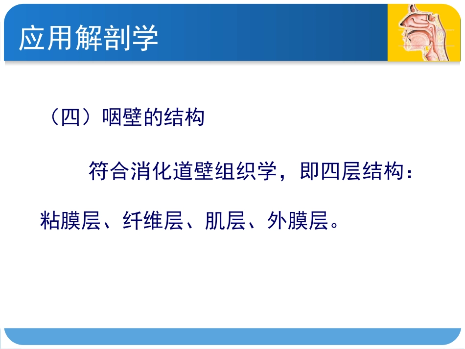 耳鼻咽喉头颈外科咽科学_第14页