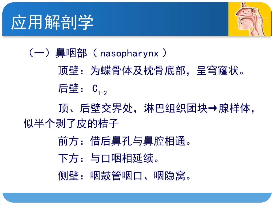 耳鼻咽喉头颈外科咽科学_第5页