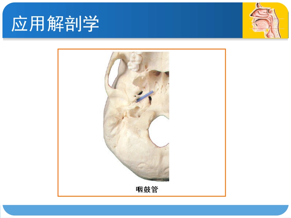 耳鼻咽喉头颈外科咽科学_第8页