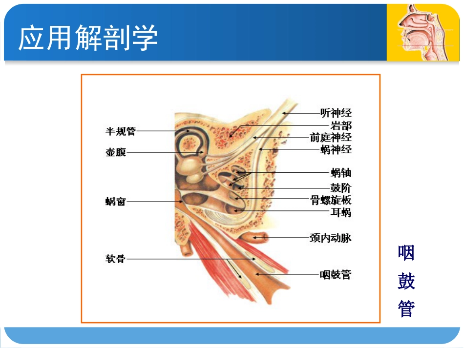 耳鼻咽喉头颈外科咽科学_第9页