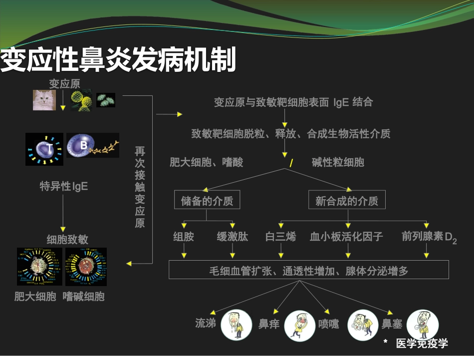 鼻用激素是治疗变应性鼻炎最有效的药物_第12页