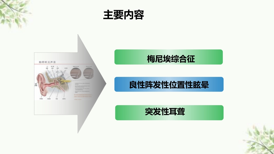 常见内耳疾病护理课件_第2页