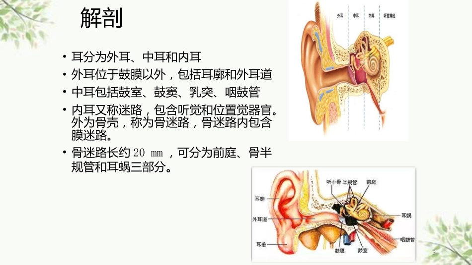 常见内耳疾病护理课件_第3页
