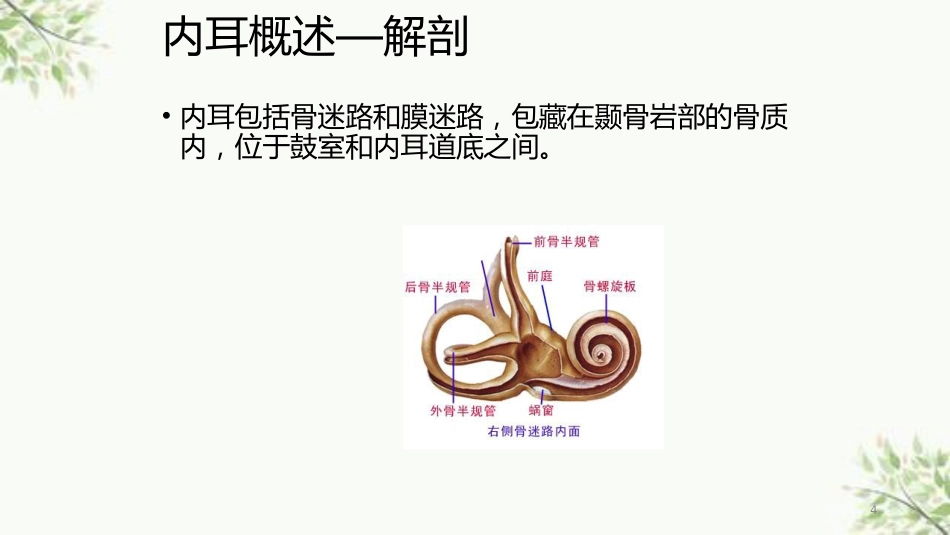 常见内耳疾病护理课件_第4页