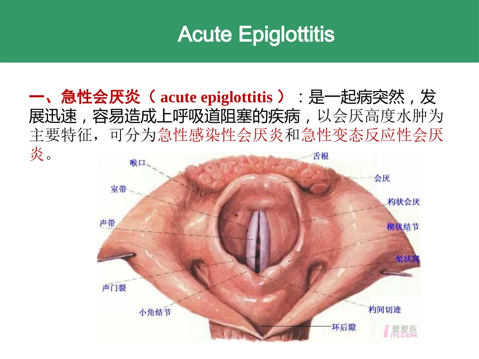喉的急慢性炎症性疾病_第3页