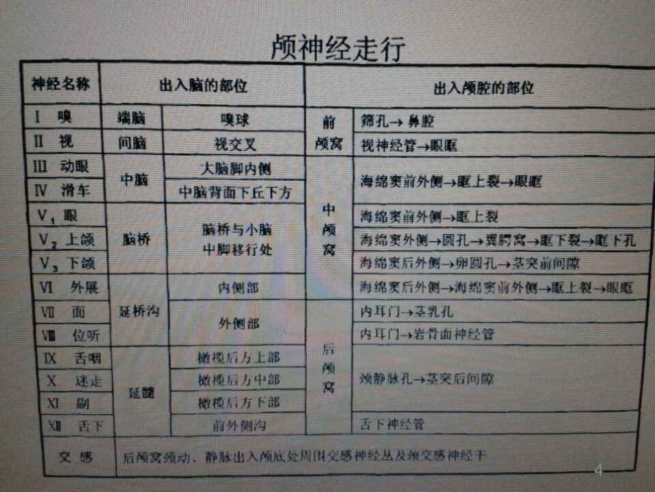 鼻咽癌颅神经查体要点_第4页