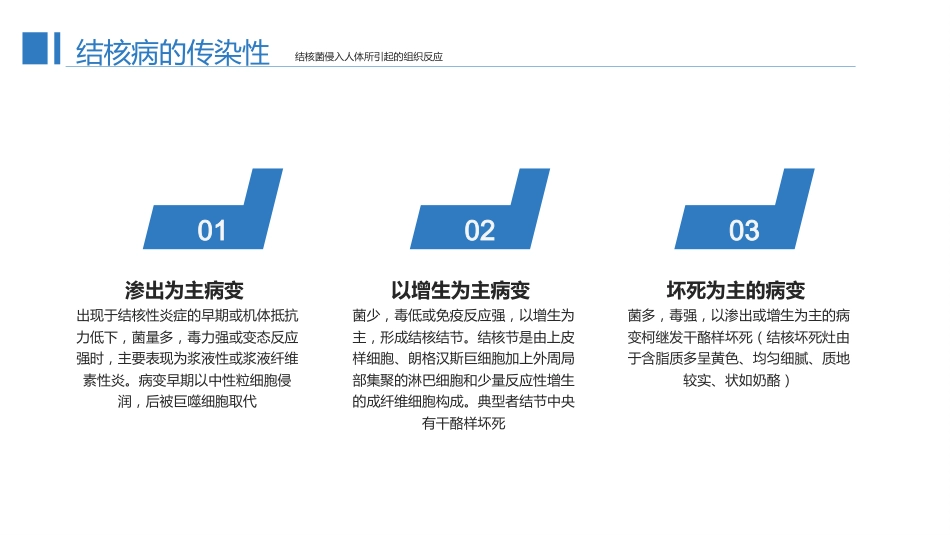 预防肺结核1_第12页