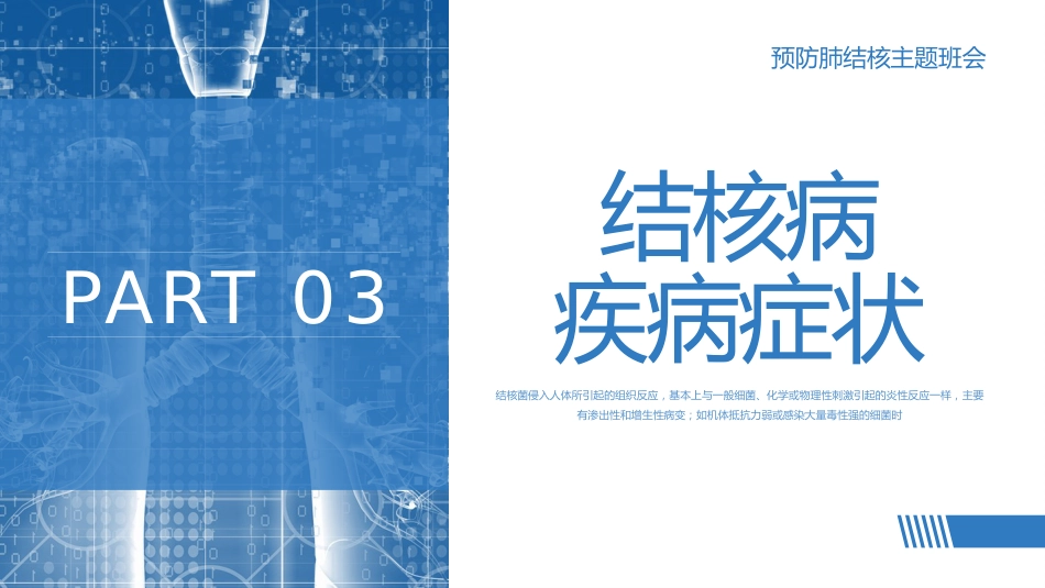 预防肺结核1_第13页