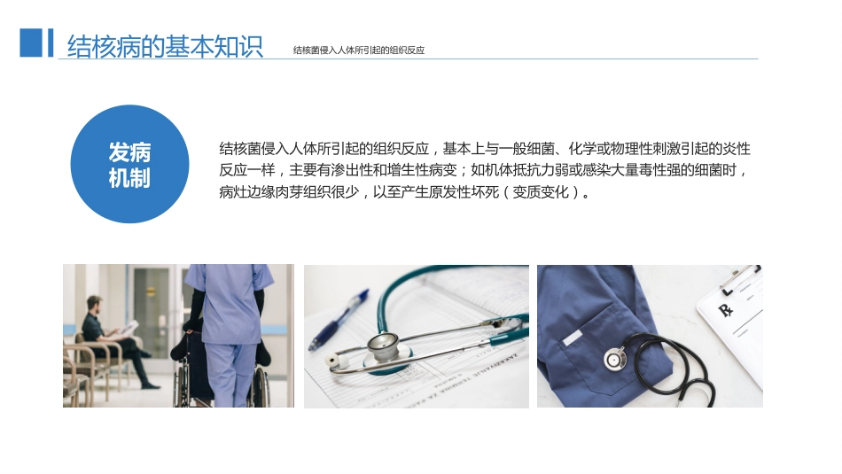 预防肺结核1_第5页