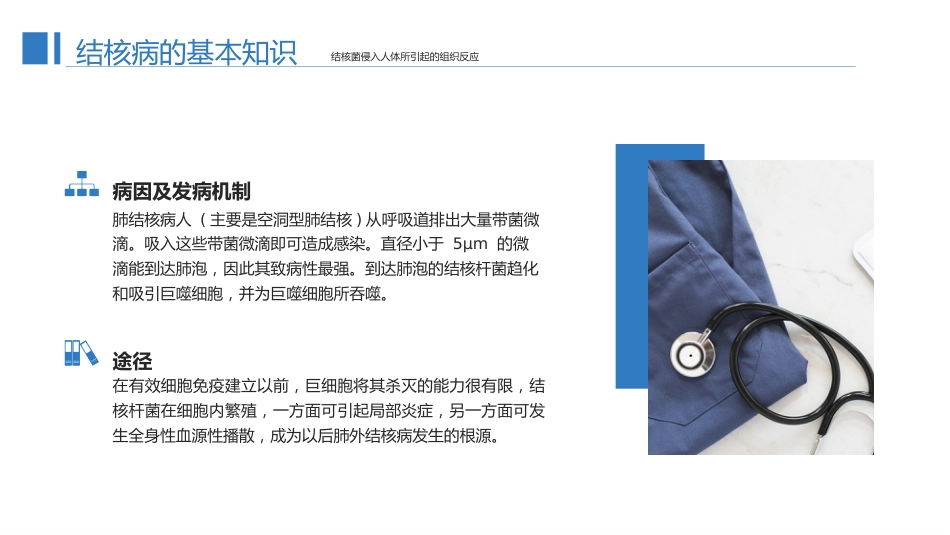 预防肺结核1_第7页