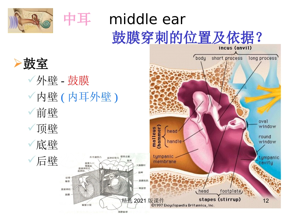 耳解剖及生理_第12页