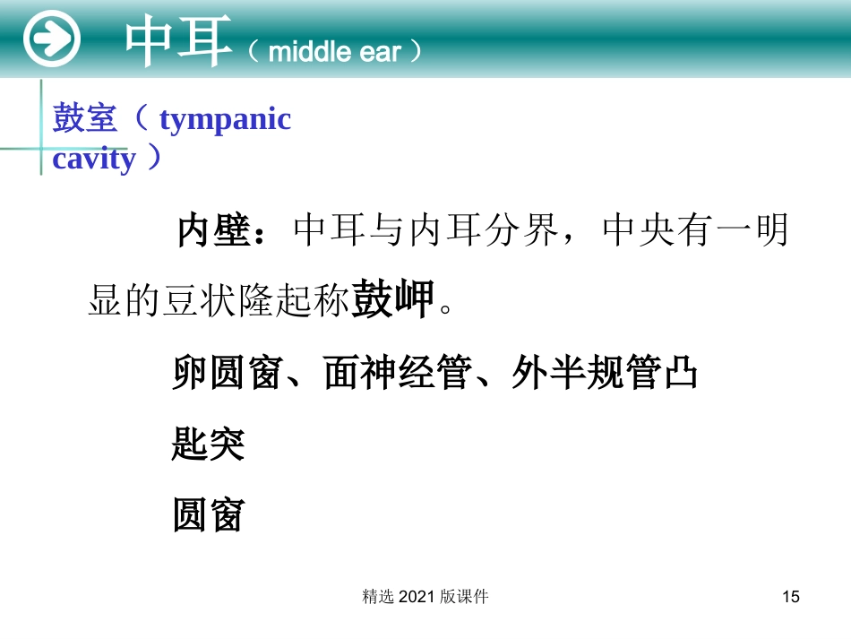 耳解剖及生理_第15页