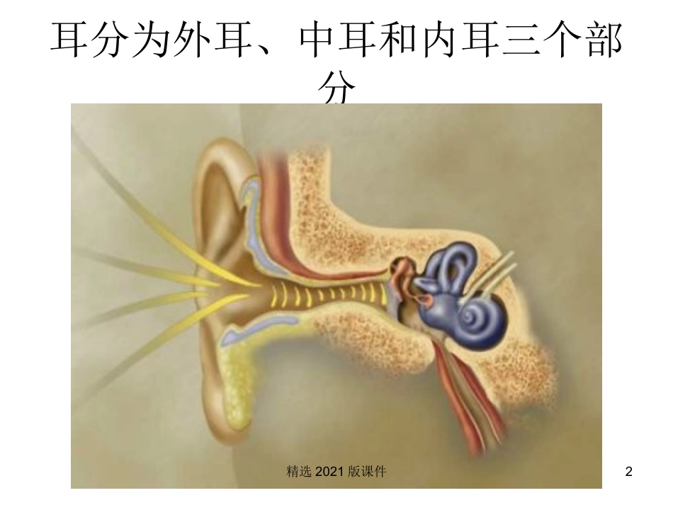 耳解剖及生理_第2页