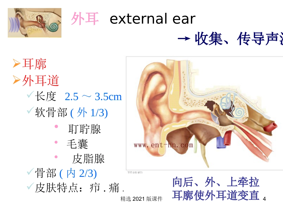 耳解剖及生理_第4页
