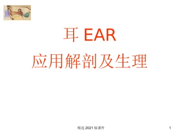 耳解剖及生理