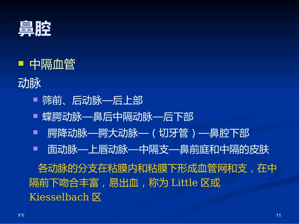 鼻鼻窦解剖医学PPT_第11页