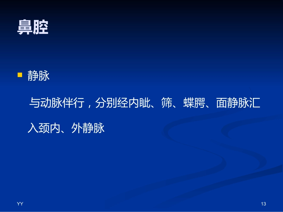 鼻鼻窦解剖医学PPT_第13页