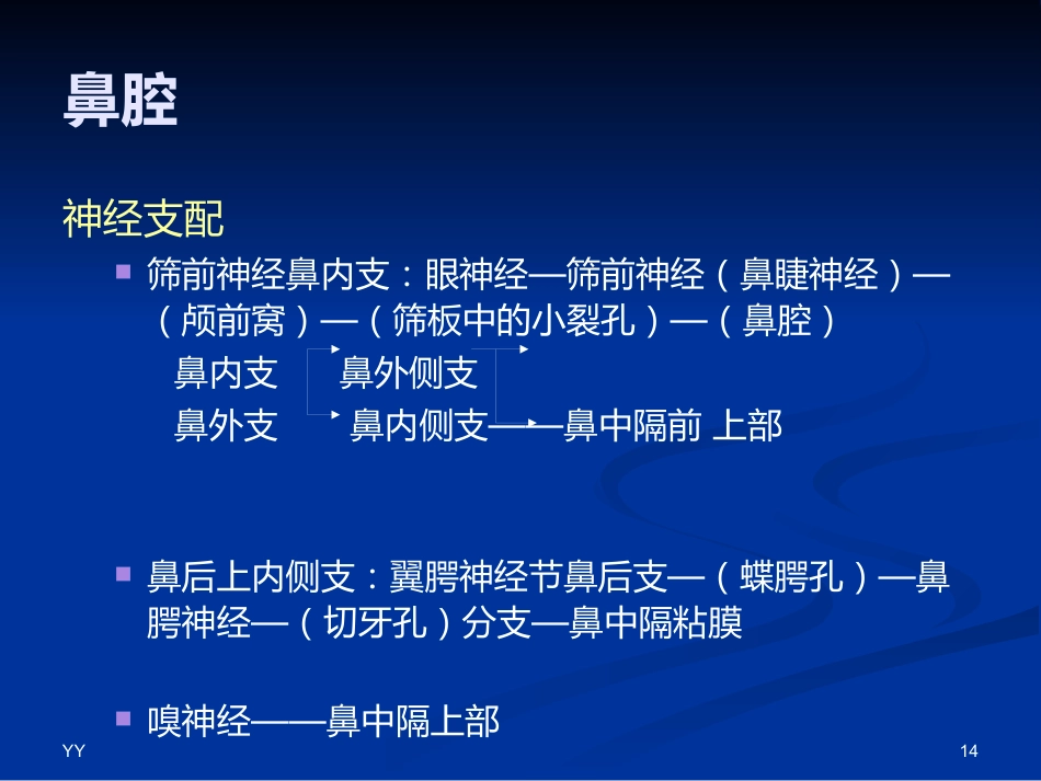 鼻鼻窦解剖医学PPT_第14页