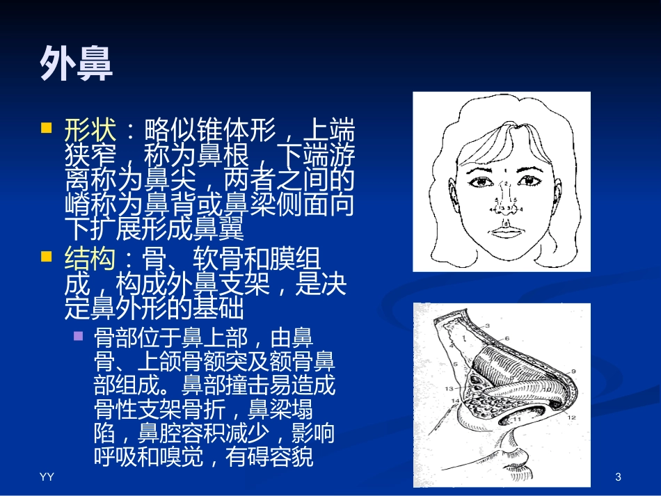 鼻鼻窦解剖医学PPT_第3页