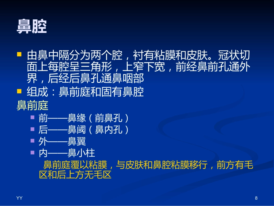 鼻鼻窦解剖医学PPT_第8页