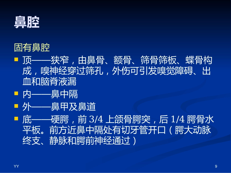 鼻鼻窦解剖医学PPT_第9页