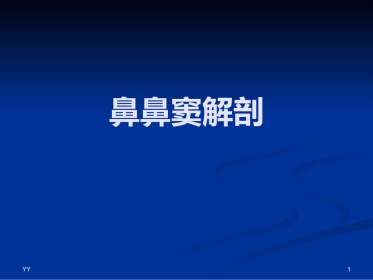 鼻鼻窦解剖医学PPT