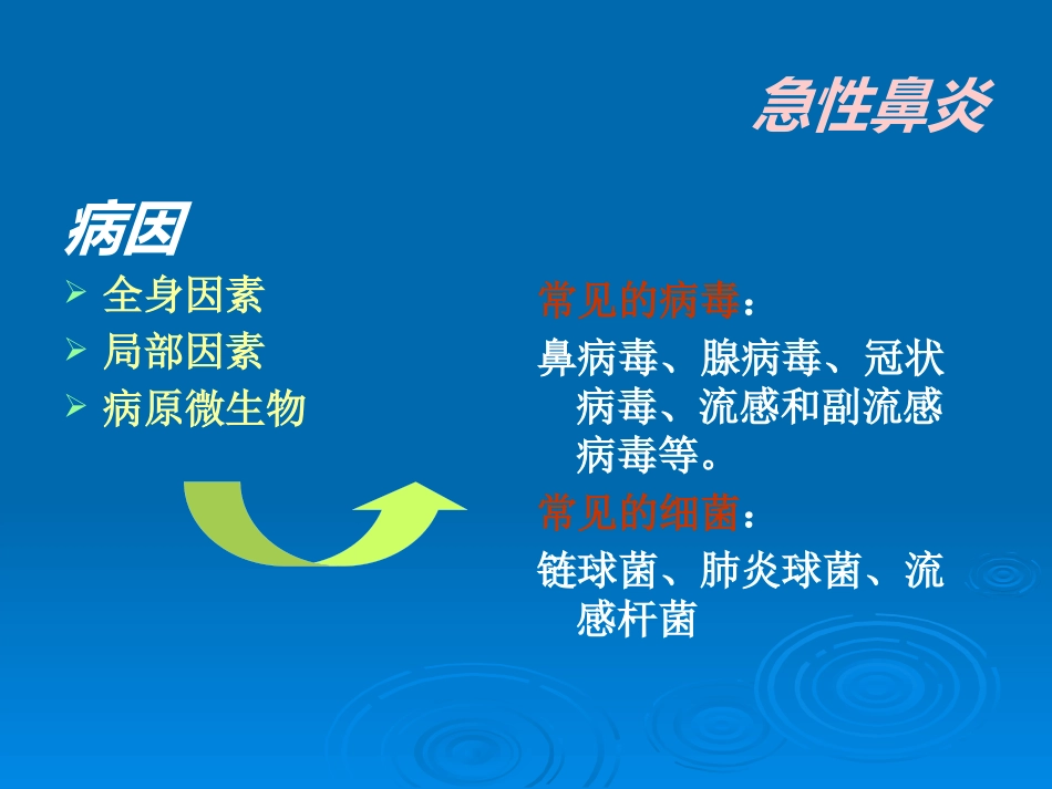 急慢性鼻炎_第4页