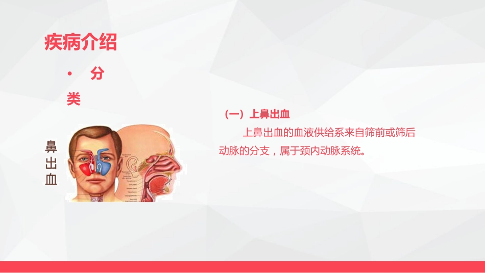 鼻出血的业务学习_第5页