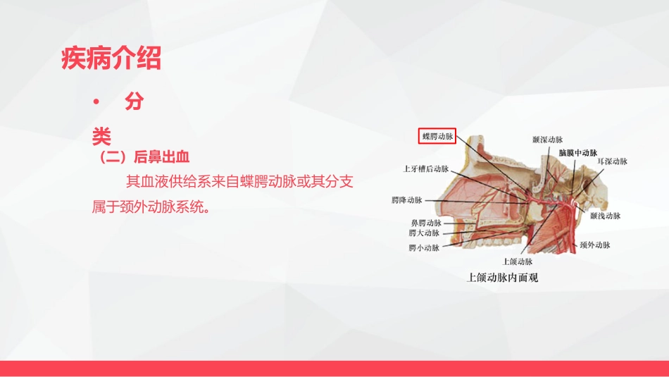 鼻出血的业务学习_第6页