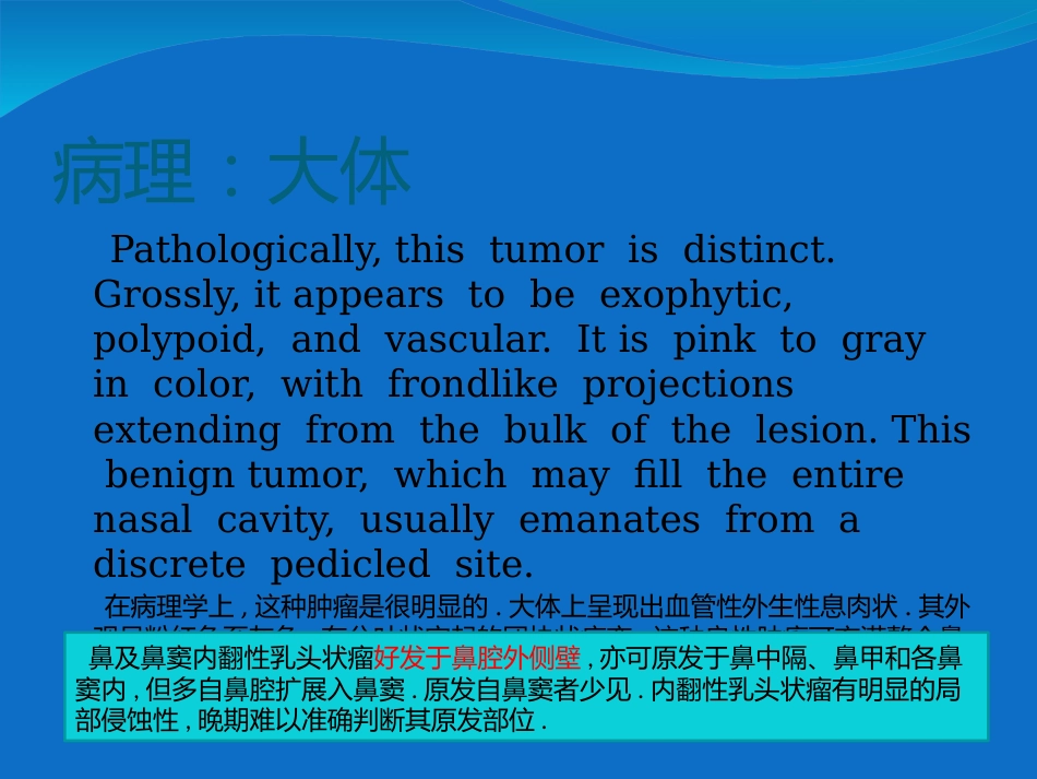 鼻内翻性乳头状瘤_第4页