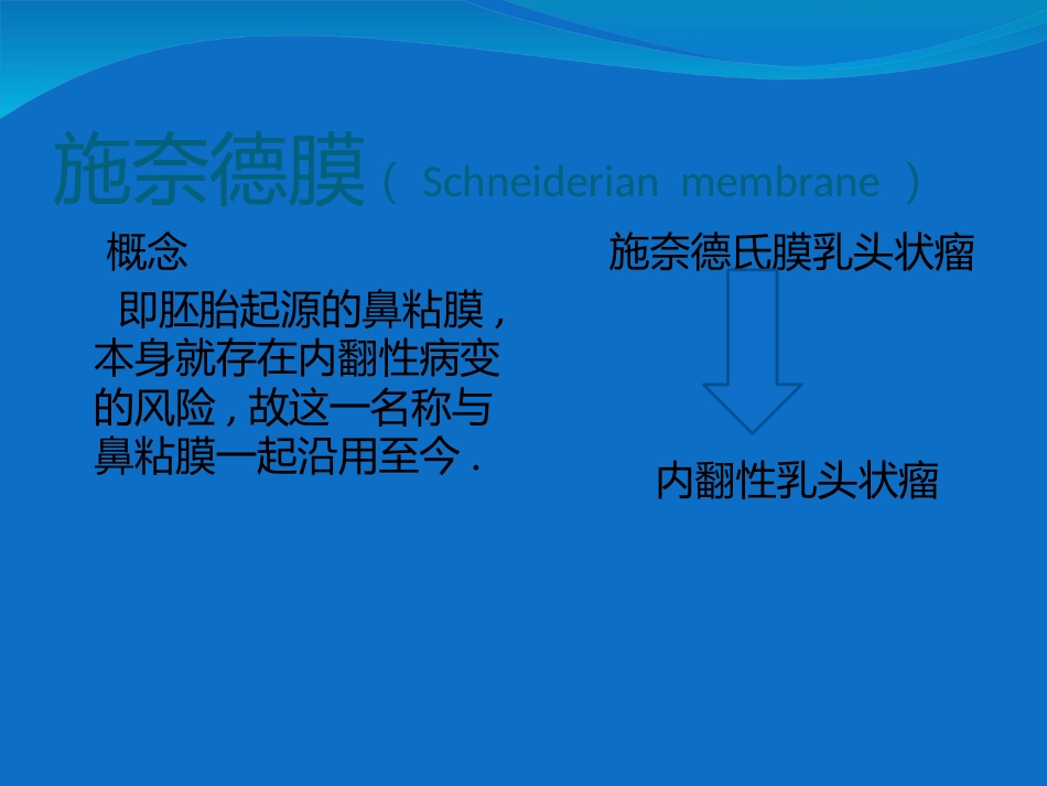 鼻内翻性乳头状瘤_第5页