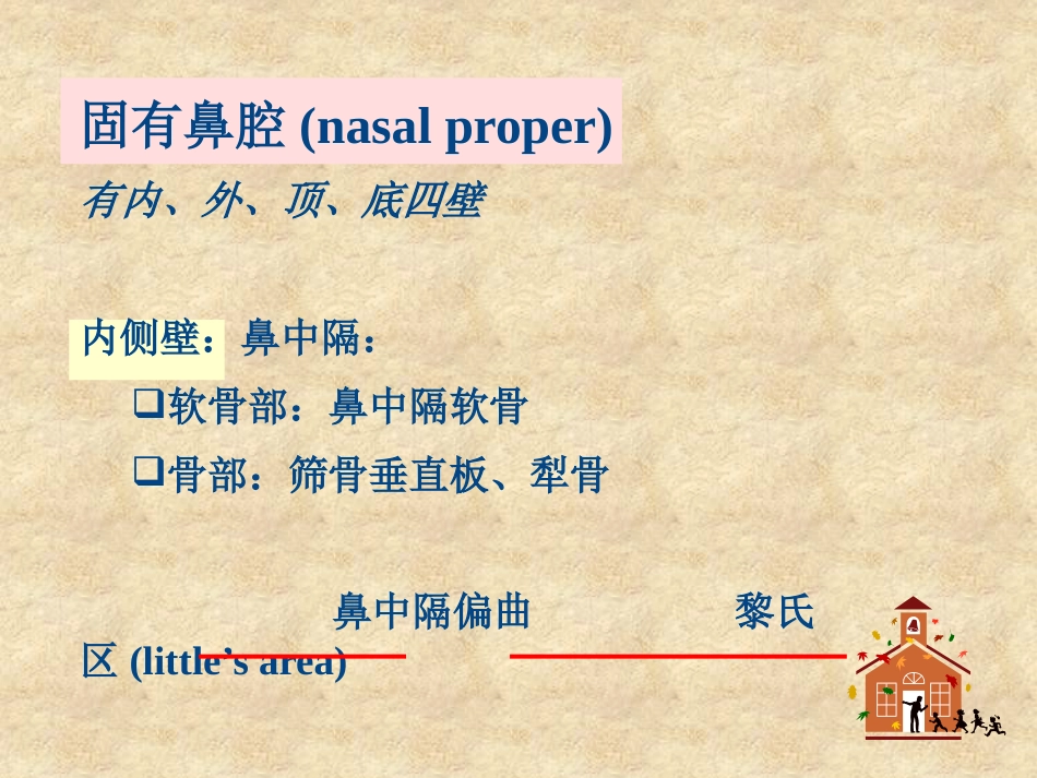 鼻科学医学课件_第10页