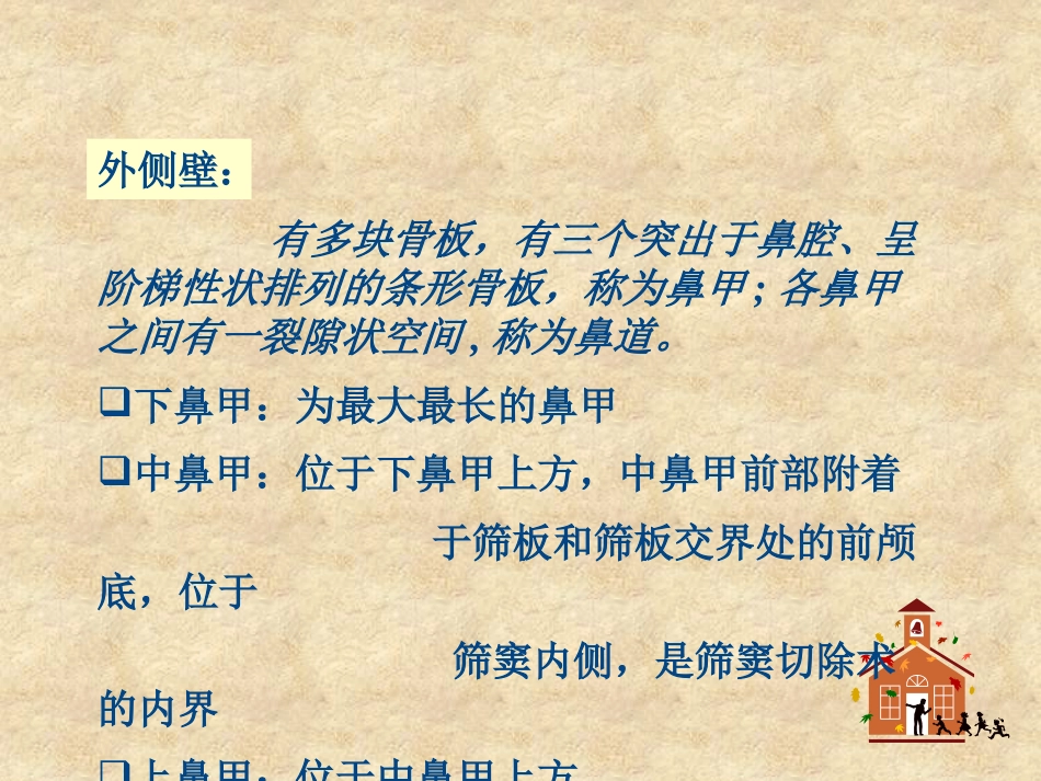鼻科学医学课件_第13页