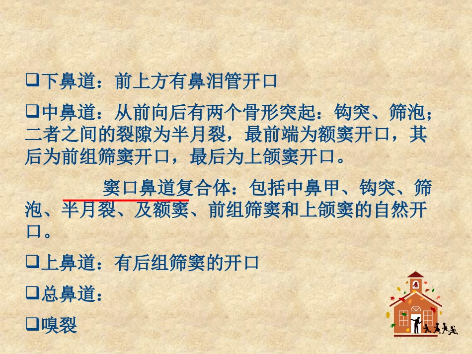 鼻科学医学课件_第15页