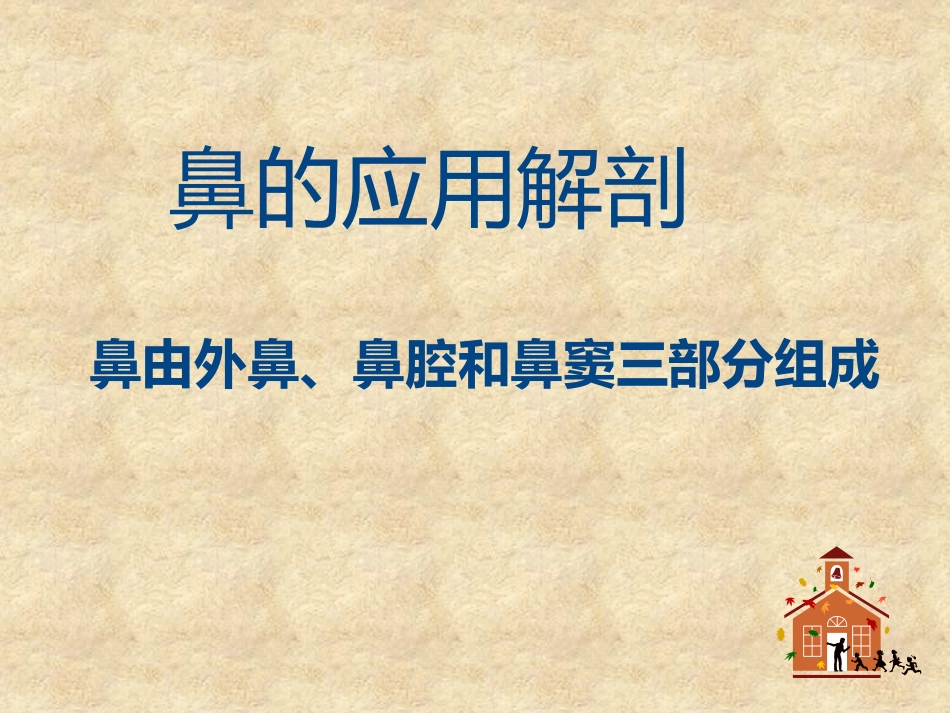 鼻科学医学课件_第2页