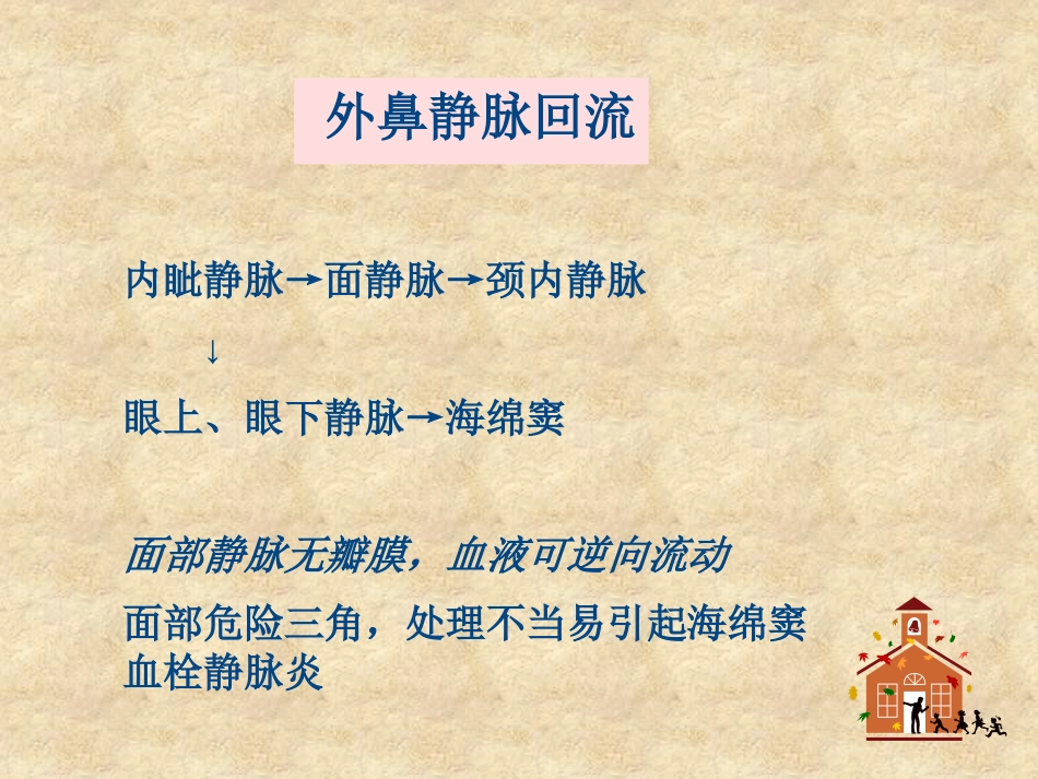 鼻科学医学课件_第6页