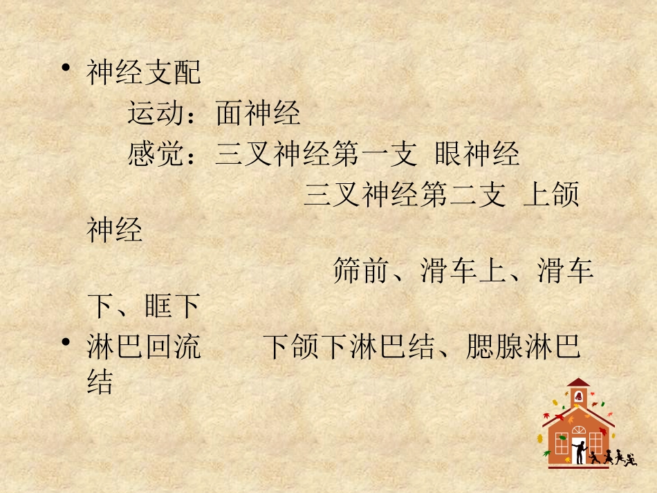 鼻科学医学课件_第8页