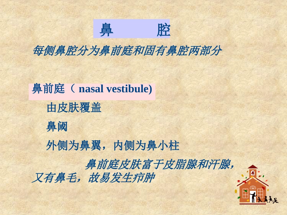 鼻科学医学课件_第9页