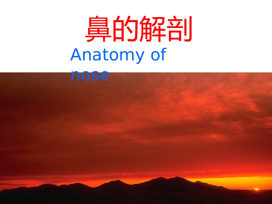 鼻的解剖与生理 PPT课件_第1页
