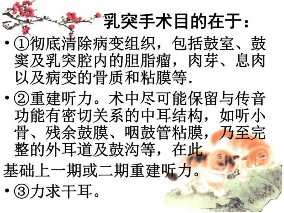 慢性化脓性中耳炎讲义_第11页