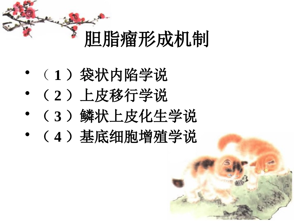 慢性化脓性中耳炎讲义_第12页
