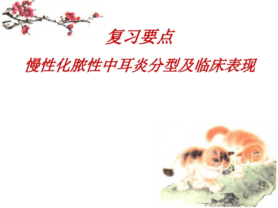慢性化脓性中耳炎讲义_第13页
