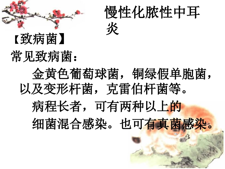 慢性化脓性中耳炎讲义_第3页