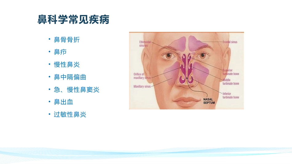 耳鼻喉常见疾病_第13页