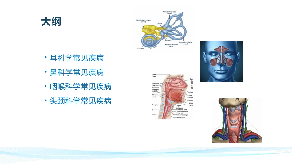 耳鼻喉常见疾病_第2页