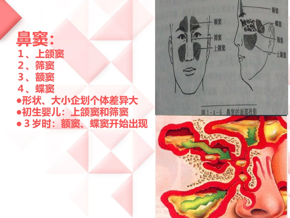 鼻负压置换的操作_第4页