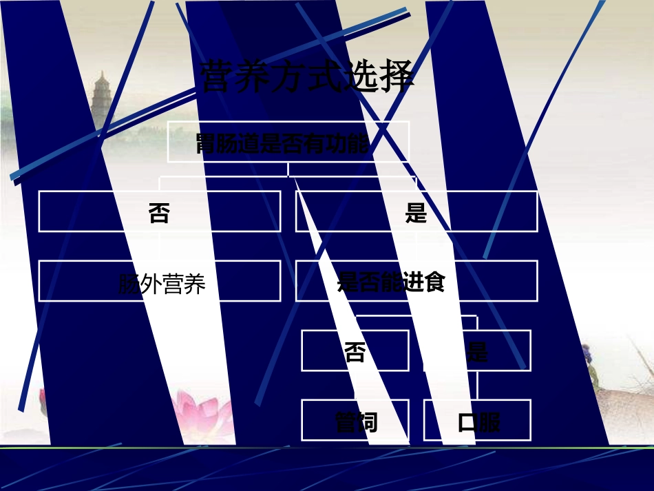 鼻胃肠管盲插方法及管理 PPT_第4页