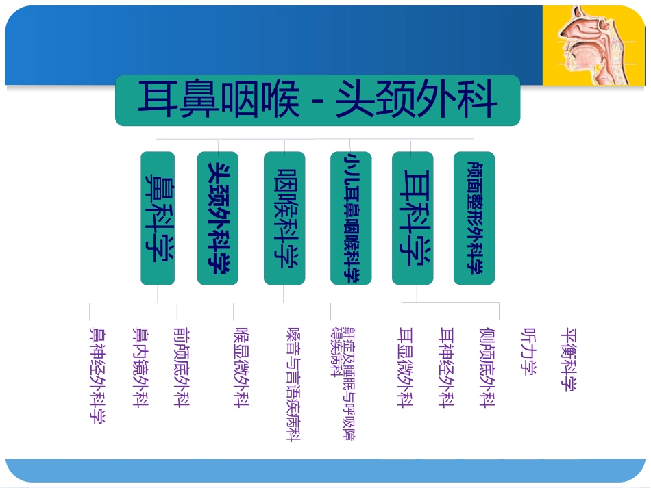 耳鼻咽喉头颈外科绪论_第5页